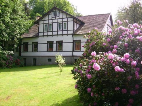 Altes Berghaus Hotel Bad Essen Eksteriør billede